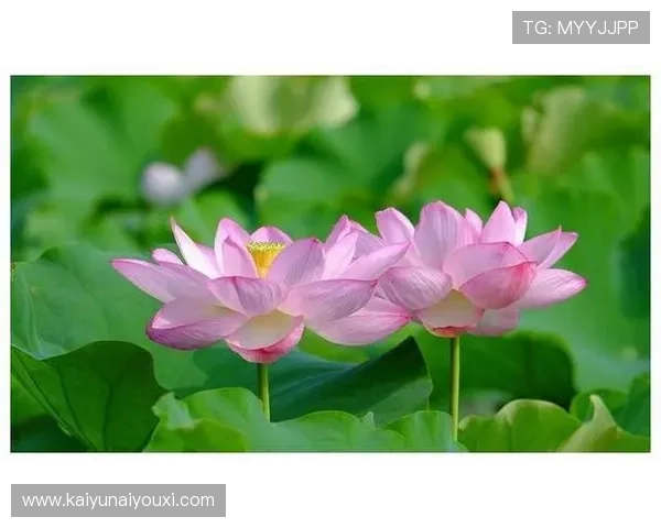 掌握开运体育技巧助你提升身体素质与运势同步发展